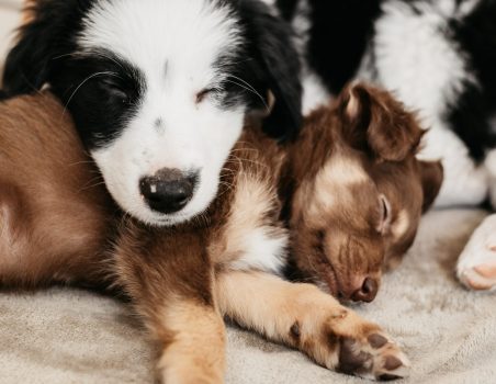 bruno-emmanuelle-ejxtJd0sYJE-unsplash